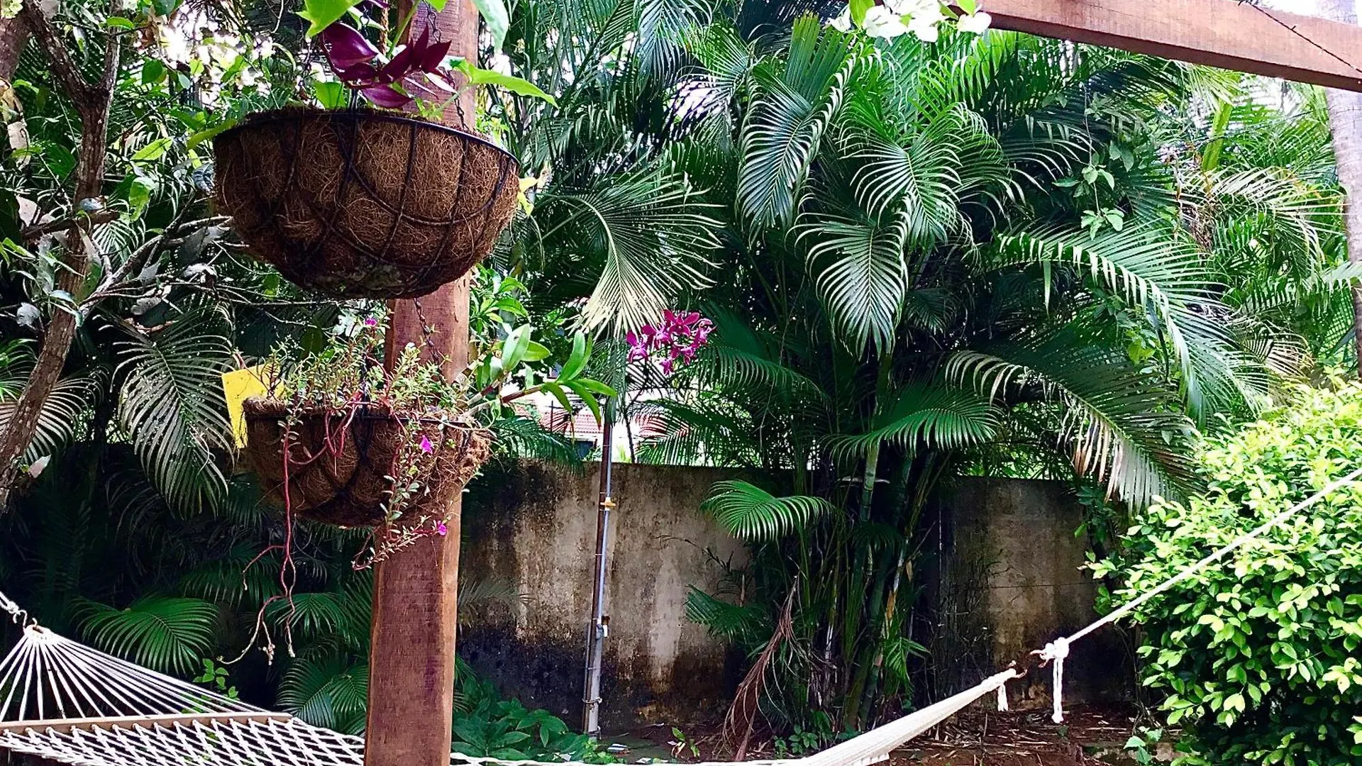 Swiss House By Keri Apartment Varkala India